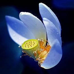 像素街机风格休闲解谜游戏《黑暗中的贪吃蛇》上线Steam平台 预计2025年推出